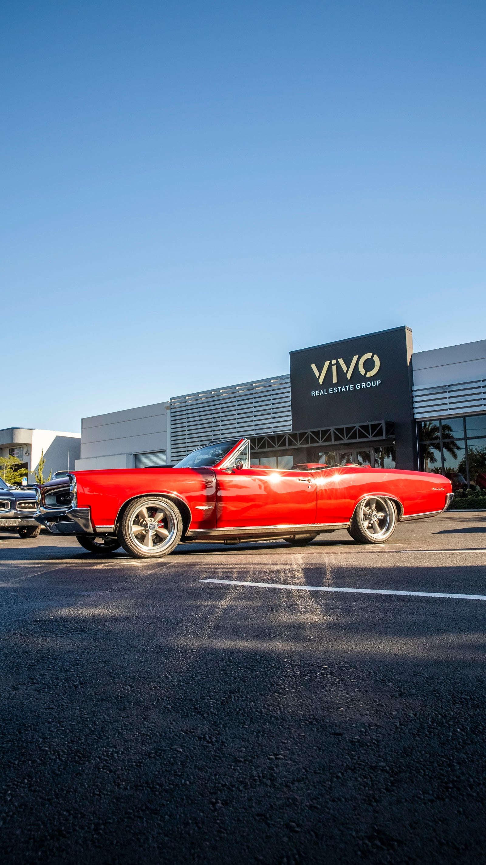 1966 GTO Convertible