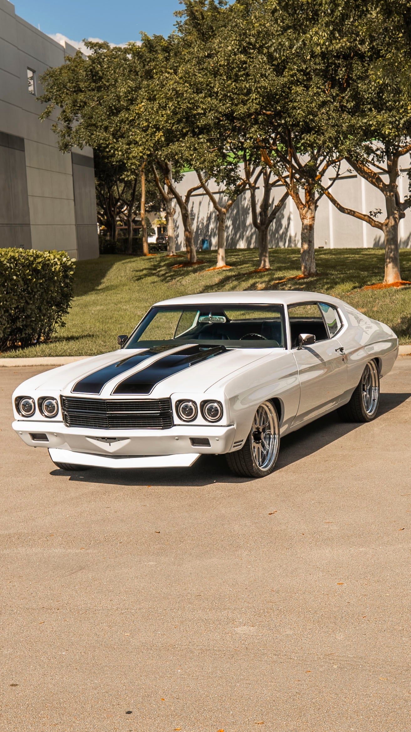 1970 Chevelle White